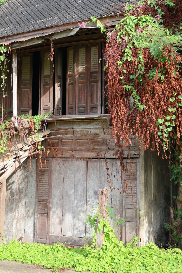 Former Market, Khao Yoi — photo 05