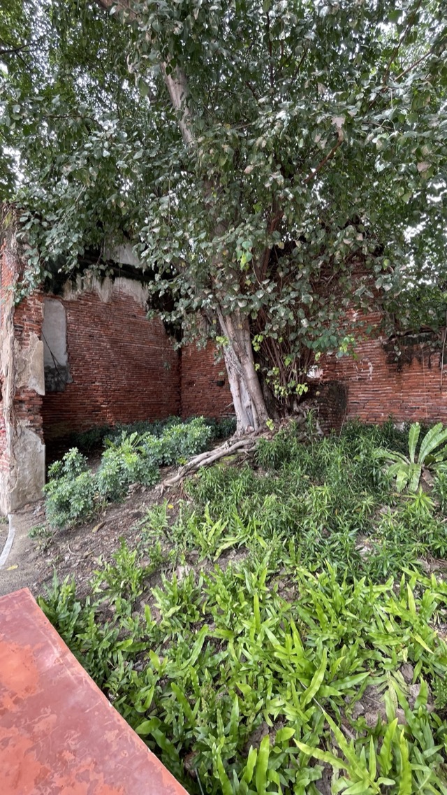 RBMCO — photo 12