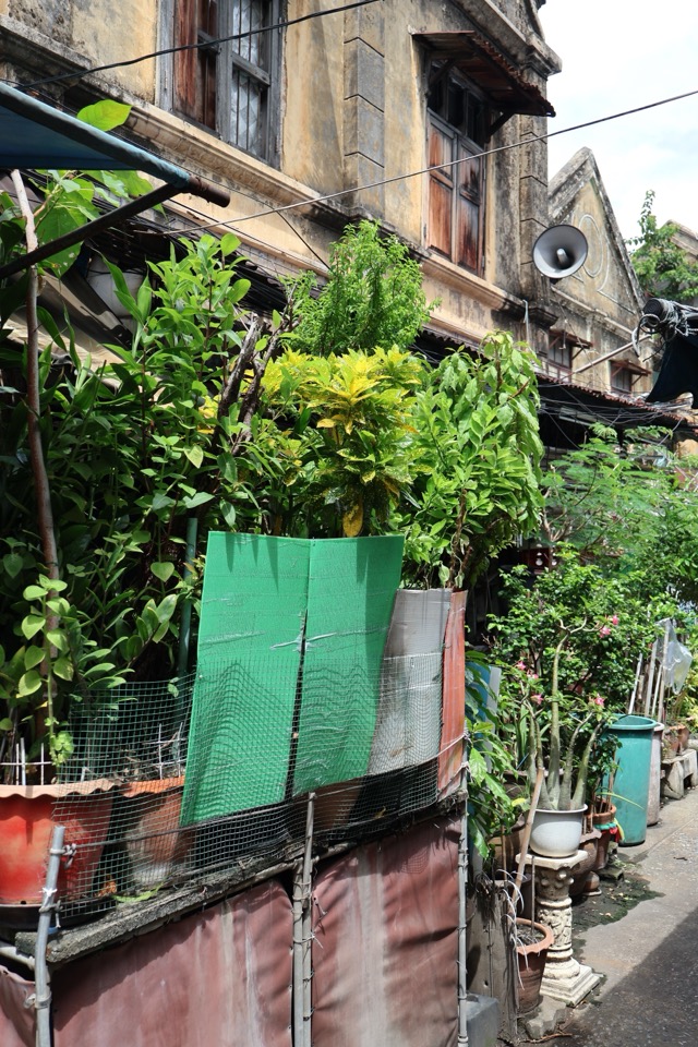 Wang Dang Community — photo 21